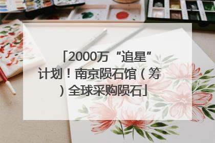 2000万“追星”计划！南京陨石馆（筹）全球采购陨石