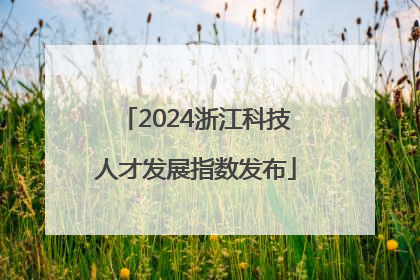 2024浙江科技人才发展指数发布