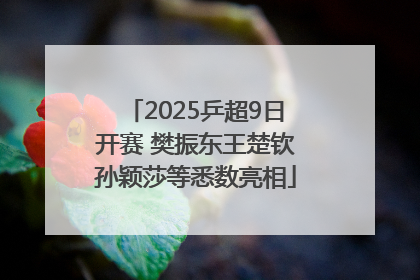 2025乒超9日开赛 樊振东王楚钦孙颖莎等悉数亮相
