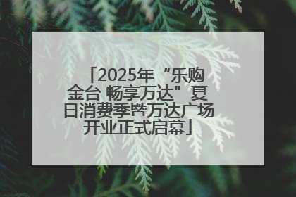 2025年“乐购金台 畅享万达”夏日消费季暨万达广场开业正式启幕
