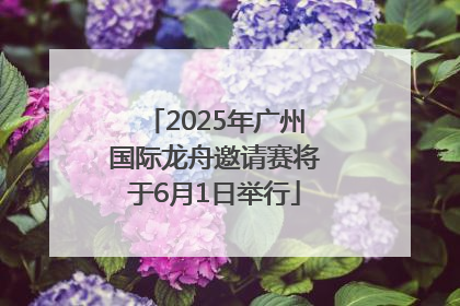 2025年广州国际龙舟邀请赛将于6月1日举行
