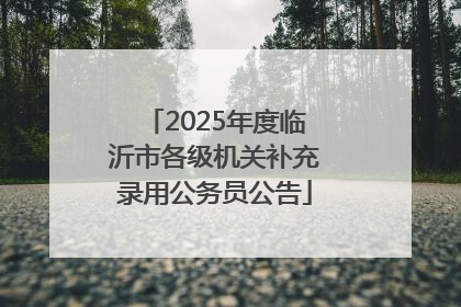 2025年度临沂市各级机关补充录用公务员公告