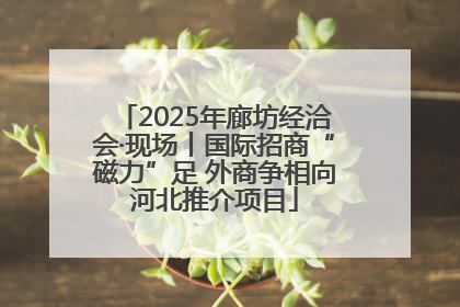2025年廊坊经洽会·现场丨国际招商“磁力”足 外商争相向河北推介项目