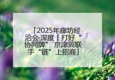 2025年廊坊经洽会·深度丨打好“协同牌” 京津冀联手“链”上招商