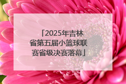 2025年吉林省第五届小篮球联赛省级决赛落幕