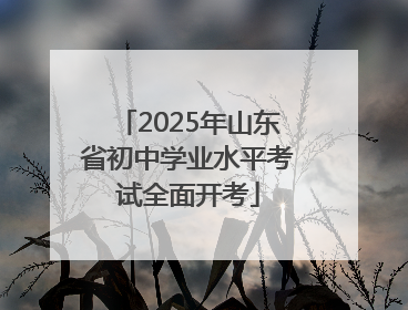 2025年山东省初中学业水平考试全面开考
