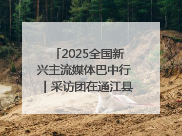 2025全国新兴主流媒体巴中行｜采访团在通江县瞻仰全国最大红军烈士陵园
