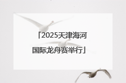 2025天津海河国际龙舟赛举行