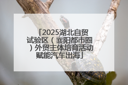 2025湖北自贸试验区（襄阳都市圈）外贸主体培育活动赋能汽车出海