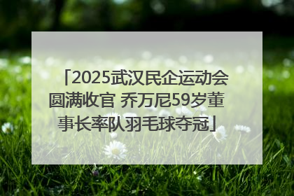2025武汉民企运动会圆满收官 乔万尼59岁董事长率队羽毛球夺冠