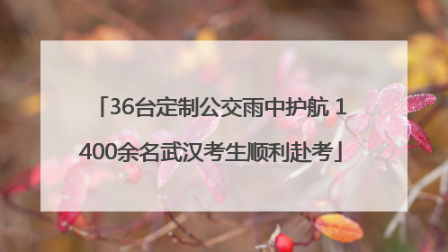 36台定制公交雨中护航 1400余名武汉考生顺利赴考