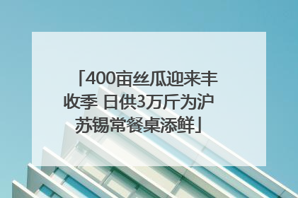 400亩丝瓜迎来丰收季 日供3万斤为沪苏锡常餐桌添鲜