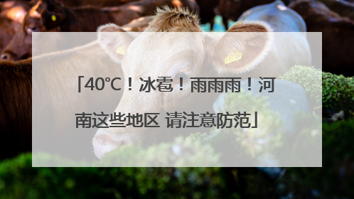 40℃！冰雹！雨雨雨！河南这些地区 请注意防范