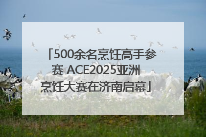 500余名烹饪高手参赛 ACE2025亚洲烹饪大赛在济南启幕