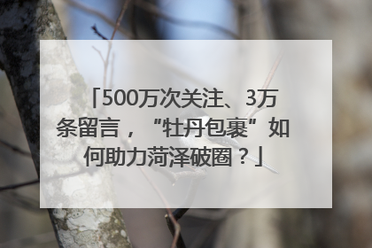 500万次关注、3万条留言，“牡丹包裹”如何助力菏泽破圈？