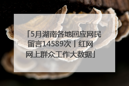 5月湖南各地回应网民留言14589次丨红网网上群众工作大数据