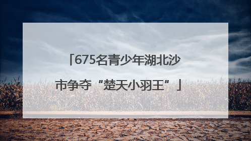 675名青少年湖北沙市争夺“楚天小羽王”