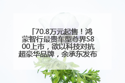 70.8万元起售！鸿蒙智行最贵车型尊界S800上市，欲以科技对抗超豪华品牌，余承东发布会未提及迈巴赫