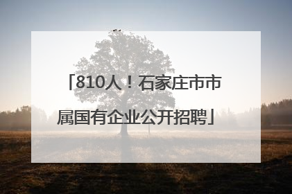 810人！石家庄市市属国有企业公开招聘