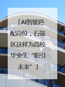 AI智能匹配岗位，石鼓区这样为高校毕业生“职引未来”
