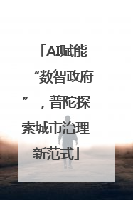 AI赋能“数智政府”，普陀探索城市治理新范式