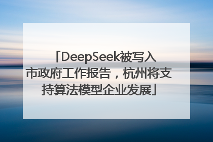 DeepSeek被写入市政府工作报告，杭州将支持算法模型企业发展