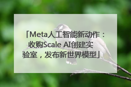 Meta人工智能新动作：收购Scale AI创建实验室，发布新世界模型